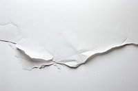 A torn strip on white paper line backgrounds simplicity crumpled.