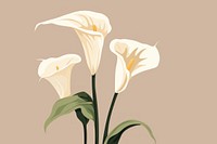 Calla lilly flower plant petal lily. AI generated Image by rawpixel.