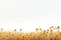 Sunflower field landscape backgrounds outdoors horizon. AI generated Image by rawpixel.