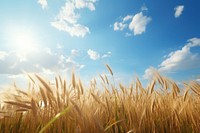 Sky agriculture landscape outdoors. AI generated Image by rawpixel.