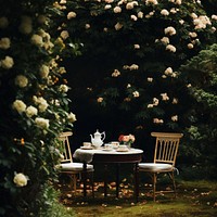 Photo of aftenoon tea in the garden. 