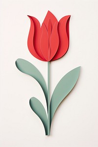 Red tulip flower petal plant. 