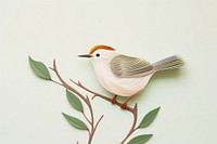 Tailorbird animal art wildlife. 