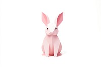 Rabbit animal mammal white background. 