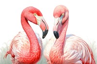 Andean flamingos animal beak bird. AI generated Image by rawpixel.