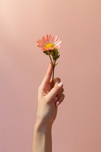 Hand holding flower. 