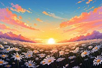 Summer daisy field sunset sky backgrounds landscape. 