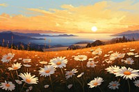 Summer daisy field sunset sky landscape outdoors. 