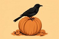 Raven pumpkin animal black. 