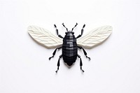 Insect insect animal white. AI generated Image by rawpixel.