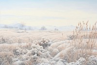 Winter landscape outdoors nature. 