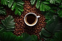 Coffee coffee nature drink design