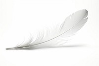 Falling Feather feather white. 