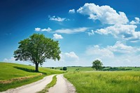 Road tree landscape outdoors. 