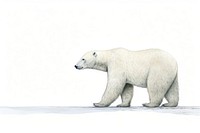 Polar bear wildlife drawing animal. AI generated Image by rawpixel.