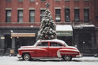 Red vintage car carry christmas tree city vehicle plant. 