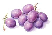 Grapes purple fruit plant. AI generated Image by rawpixel.