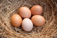 Eggs food hay beginnings. AI generated Image by rawpixel.