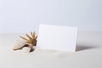 Business card seashell paper white background. AI generated Image by rawpixel.