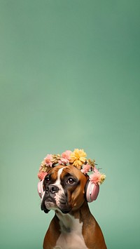 Three young kids portrait photography animal. 