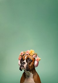 Three young kids portrait photography animal. 