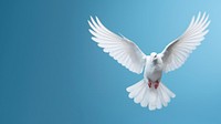 Flying dove animal bird wildlife. AI generated Image by rawpixel.
