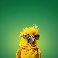 Parrot wearing sunglasses animal bird beak. AI generated Image by rawpixel.