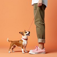 Dog pet footwear sneaker. 