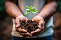 Holding young plant nature soil gardening. AI generated Image by rawpixel.