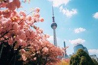 Asian tv tower architecture building city. 