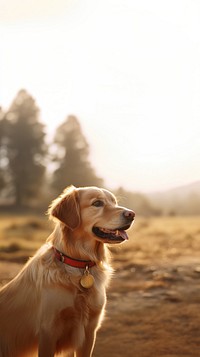 Happy dog outdoors mammal animal. AI generated Image by rawpixel.