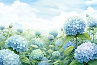 Hydrangea field backgrounds hydrangea outdoors. 