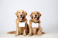 Golden retrievers sitting mammal animal puppy. AI generated Image by rawpixel.