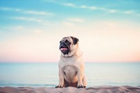 Pug dog, pet animal photo. AI generated Image by rawpixel.