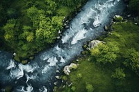 Water stream forest outdoors nature. 