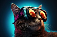 A Cat wearing VR glasses sunglasses animal mammal. 