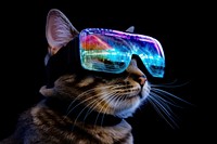 A Cat wearing VR glasses sunglasses mammal animal. 