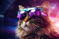 A Cat wearing VR glasses sunglasses portrait mammal. AI generated Image by rawpixel.