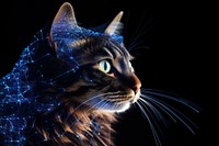 Animal mammal night pet. AI generated Image by rawpixel.