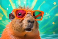 Capybara wearing summer sunglasses animal mammal rodent. AI generated Image by rawpixel.