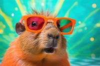 Capybara wearing summer sunglasses animal mammal rodent. 