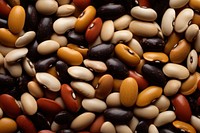 Beans vegetable food backgrounds. 