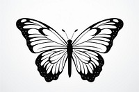 Butterfly drawing animal insect. AI generated Image by rawpixel.