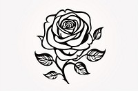 Rose pattern drawing flower. 