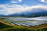 Solar farm outdoors green sun. 