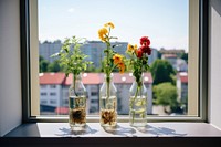 Window windowsill bottle flower. AI generated Image by rawpixel.