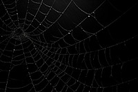 Spider webs backgrounds black complexity