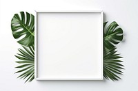 Simple minimal frame plant leaf rectangle. 