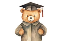 Graduation student cartoon bear. 