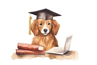 Dog graduation computer student. 